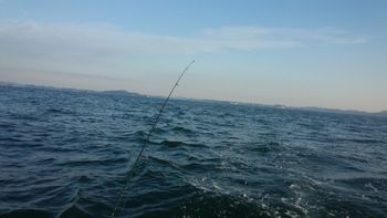 2012102903.jpg
