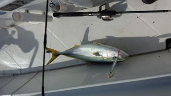 201210292.jpg