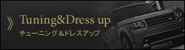 チューニング&ドレスアップ