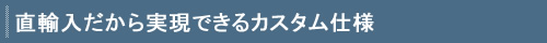 ���A������������ł���J�X�^���d�l